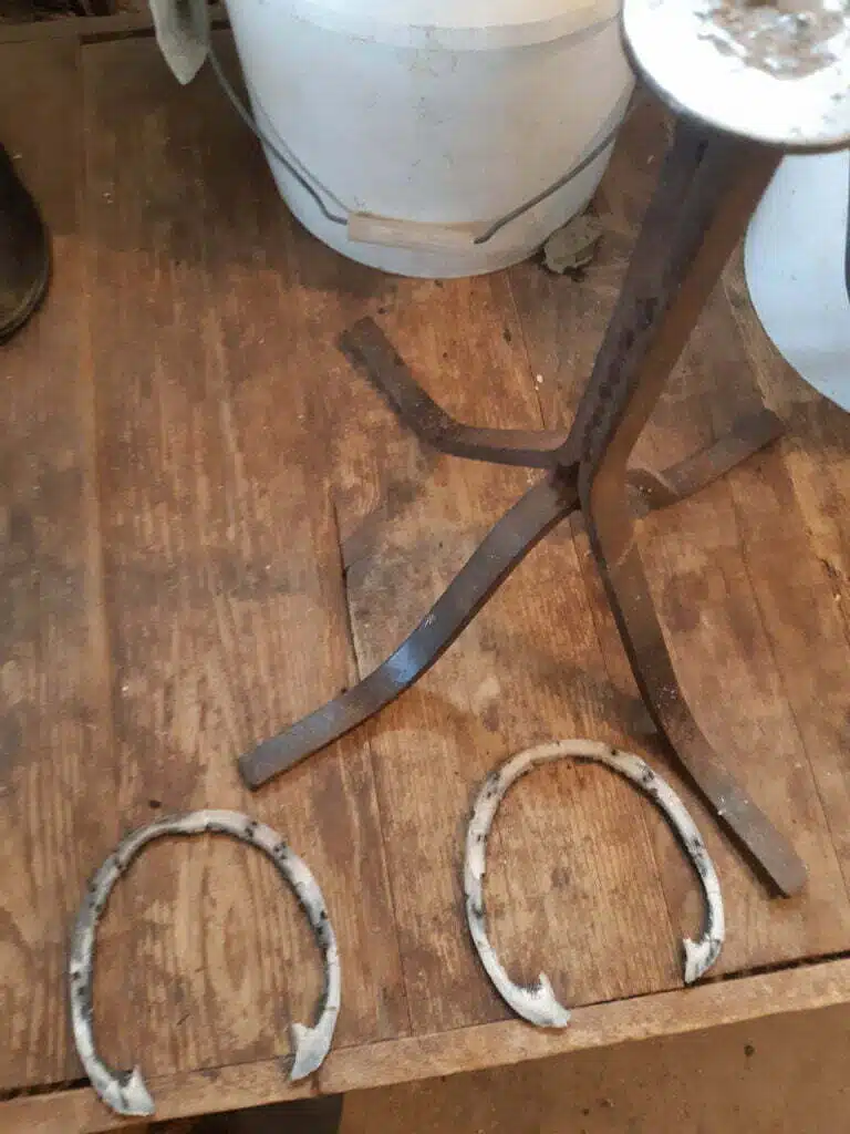 Hoof stand and a couple trim cuttings