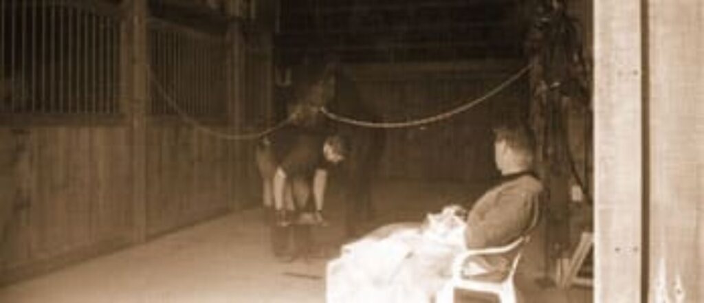 Farrier Josh Emsley working while farrier John Emsley watches