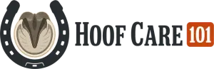 Hoof Care 101 - Professional Farrier Services