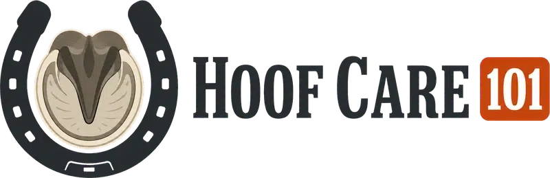 Hoof Care 101 - Professional Farrier Services